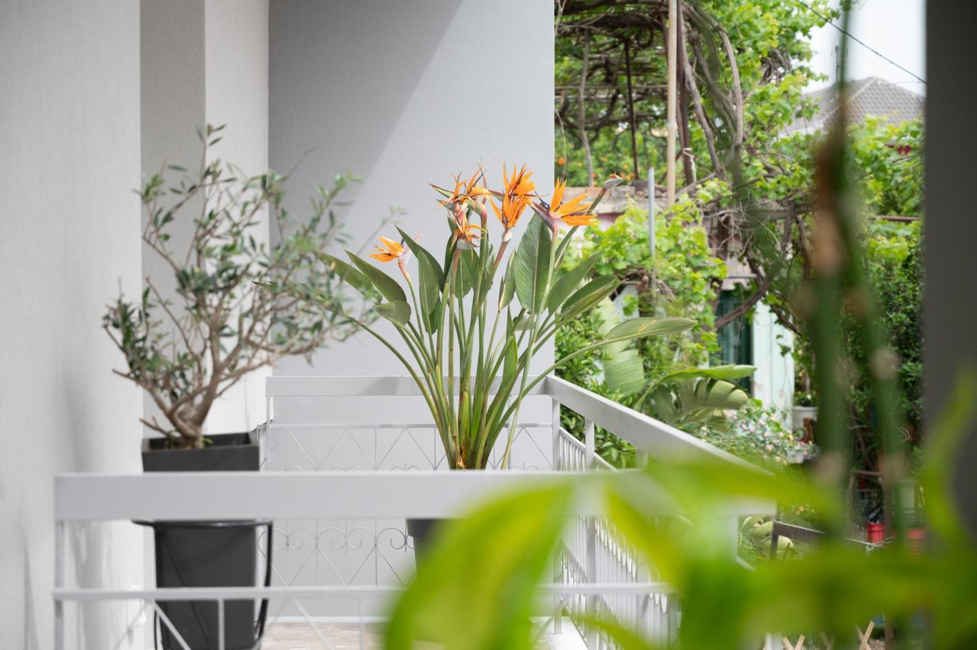 Louisa Luxury Apartments Preveza Buitenkant foto